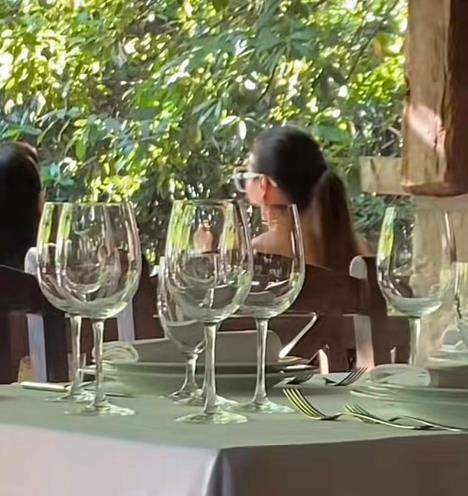 Svetlana Ceca Ražnatović (3).jpeg