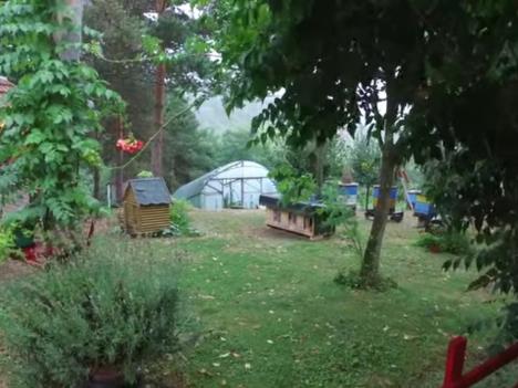 Najlepše dvorište 5.jpg