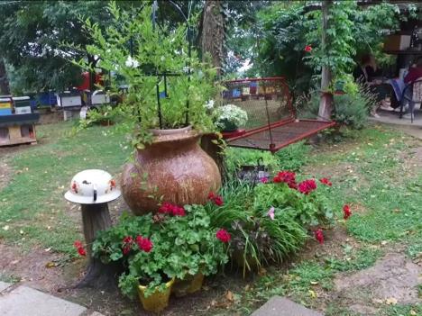 Najlepše dvorište 1.jpg