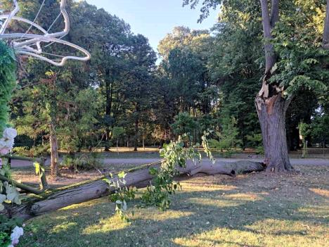 BANJA KOVILJAČA - Odvalila se grana Foto KJP Naš dom.jpeg