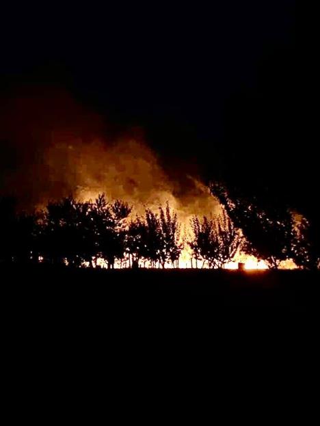 WhatsApp Image 2025-08-27 at 21.04.01_aac7248c.jpg