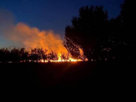 WhatsApp Image 2025-08-27 at 21.02.46_57624710.jpg