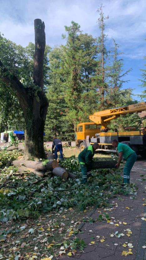 BANJA KOVILJAČA - Uklanjanje stare lipe Foto KJP Naš dom.jpeg