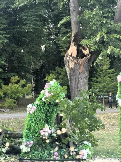 BANJA KOVILJAČA - Ode slovo B Foto KJP Naš dom.jpeg