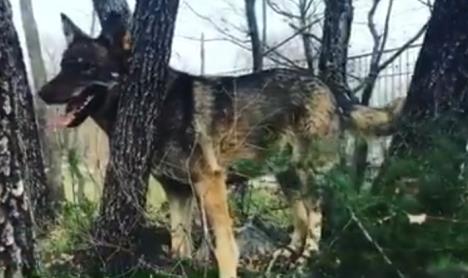 Screenshot 2025-08-28 122931.jpg