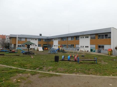 LOZNICA - Čarolija.JPG