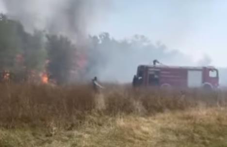 Screenshot 2025-08-28 153257.jpg