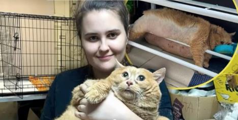 Žena drži mačka koji je pokušao da pobegne sa klinike za mršavljenje.jpg