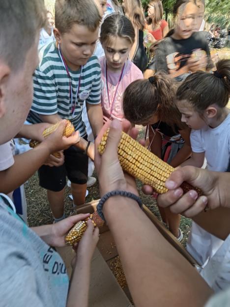 15 - Aleksandar Maksic.jpg