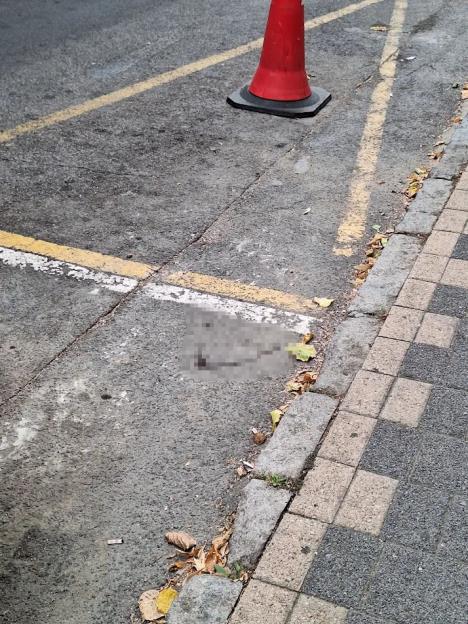 ubijen mladić vračar kladionica 2.jpg