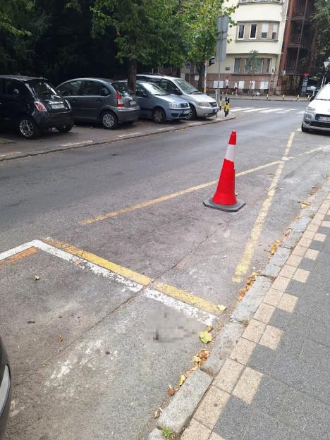 ubijen mladić vračar kladionica 3.jpg