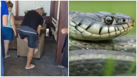 Čovek kojeg je ujela zmija/Zmija belouška