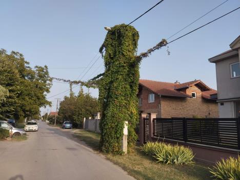 WhatsApp Image 2025-08-31 at 18.14.57_fbc76e9a.jpg