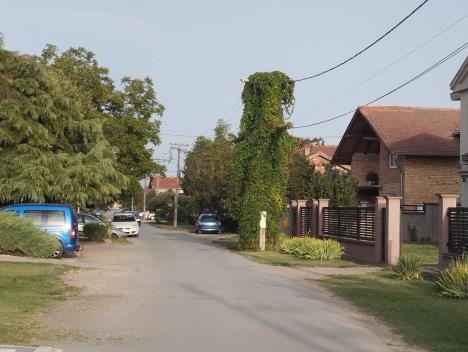 WhatsApp Image 2025-08-31 at 18.14.58_549c13f6.jpg