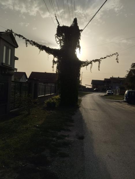 WhatsApp Image 2025-08-31 at 18.14.58_98650766.jpg