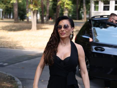 Zvezde Granda   Svetlana Ceca Ražnatović (8).jpeg