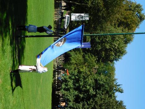 TRŠIĆ -Saborska zastava.JPG