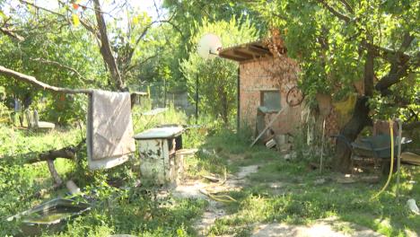 Screenshot 2025-09-03 132054.jpg