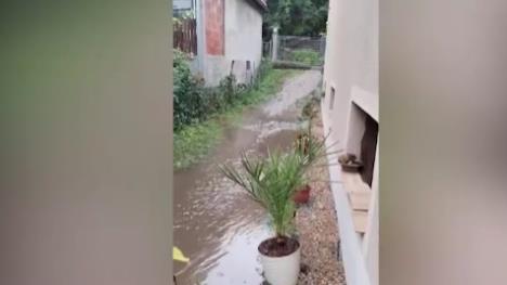 Screenshot 2025-09-04 191942.png