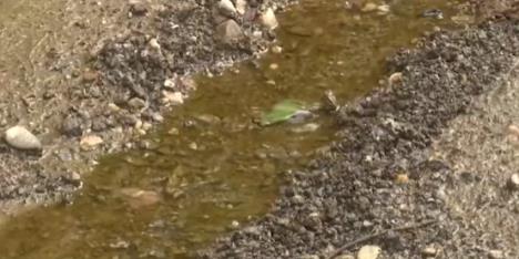 Screenshot 2025-09-04 192004.png