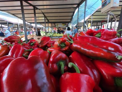 Sve sto mi treba je na pijaci.JPG