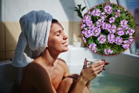 shutterstock_277847231 copy.jpg