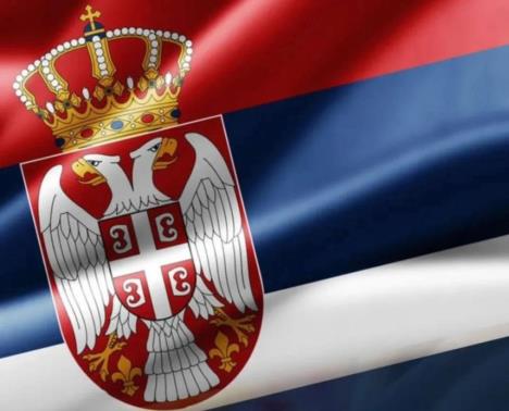 1228855_backa-topola_iff (1).jpg