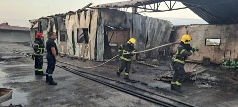 LOZNICA - POsle ponoći.jpg