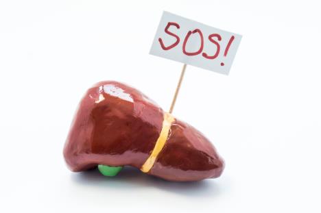 GetOriginalImageById (23).jpg