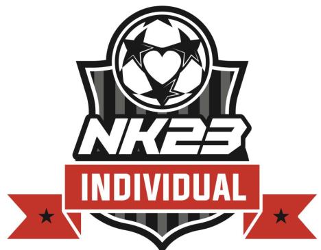 Nenad Krstić 19.jpg