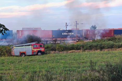 WhatsApp Image 2025-09-08 at 20.48.49_c5cbc86f.jpg