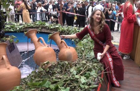 Aleksandrovac, Župska berba, Fontana vina.jpg