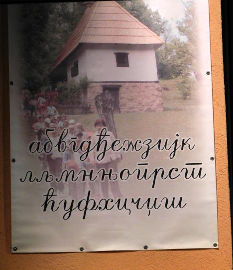 LOZNICA - Volimo ćirilicu.JPG