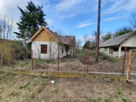 Dve seoske kuće i ograda