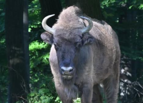 Screenshot 2025-09-09 135150.jpg