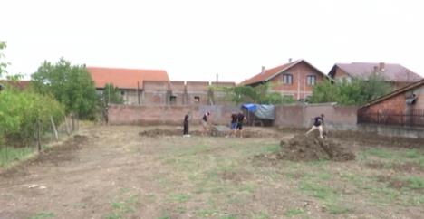 Screenshot 2025-09-09 164322.jpg