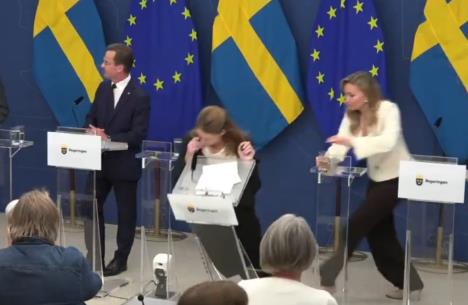 Elisabet Lan švedska ministarka zdravljajpg