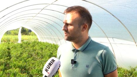 dušan tašović.jpg