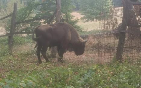 Screenshot 2025-09-10 112231.jpg