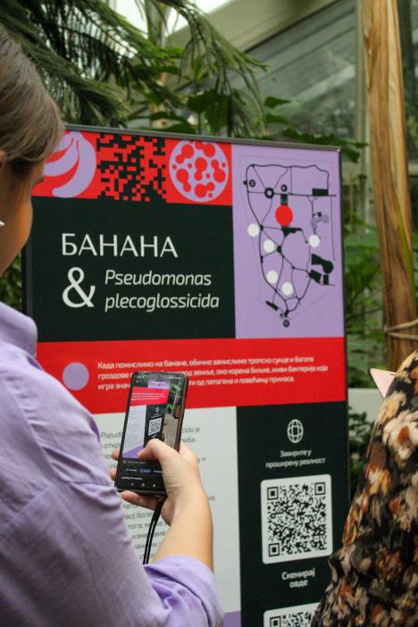 Bakterije_bot. basta.jpg