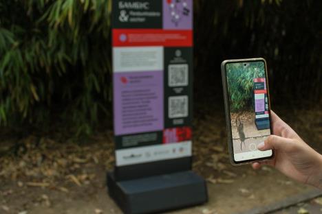 Bakterije_Bot. basta2.jpg