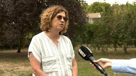 žena sa frćkavaom kosom na livadi