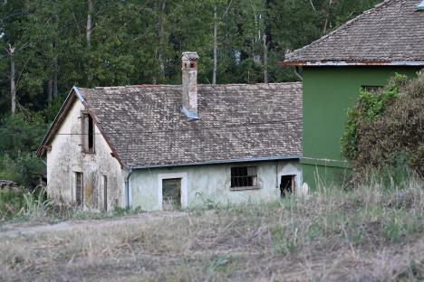 Dejan Ilic Don Rosi (3).jpeg