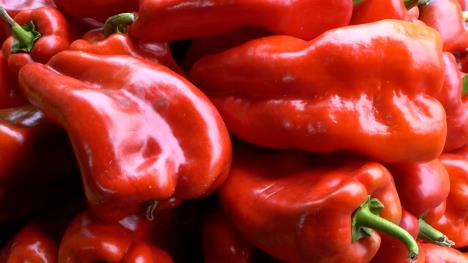 Sequence 03.01_45_03_17.Still007.jpg