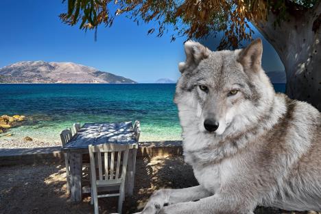 profimedia-0956720861 copy.jpg