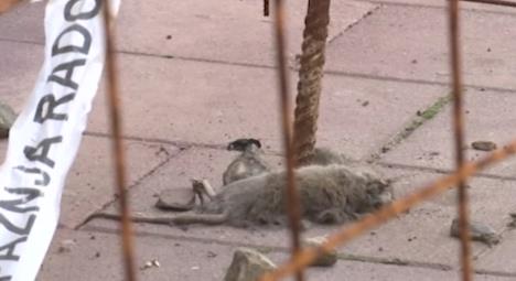 Screenshot 2025-09-13 132437.jpg