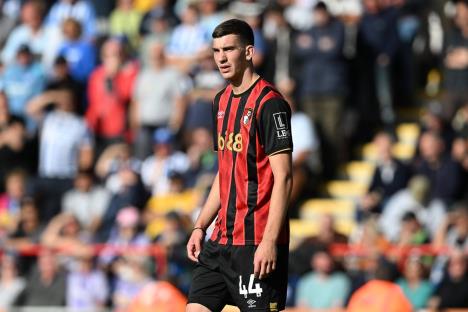 Veljko Milosavljević na utakmici protiv Brajtona