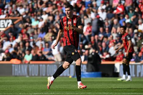 Veljko Milosavljević na utakmici protiv Brajtona