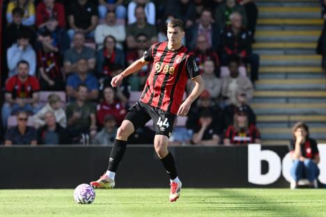 Veljko Milosavljević na utakmici protiv Brajtona