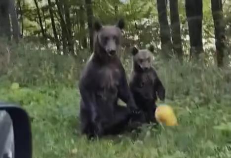 Screenshot 2025-09-15 103039.jpg